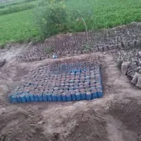 Green Seekers Activity